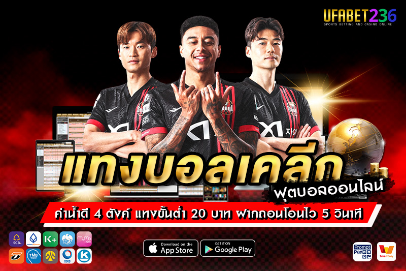 เอฟซี โซล ทีมใหญ่ในเมืองหลวง ฟอร์มเด่นในบ้าน เหมาะกับบอลเต็ง